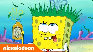 سبونج بوب | مستر سلطع وكارين أصدقاء؟ | Nickelodeon Arabia