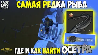 БИТВА ПРОТИВ ОСЕТРА! САМАЯ РЕДКАЯ РЫБА! ГДЕ И КАК СЛОВИТЬ ОСЕТРА?! - Last Day on Earth: Survival