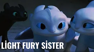 What if light Fury sister?//HTTYD