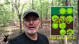 How to Grow 1,200 Pounds per Acre of Quality Deer Forage in the Forest