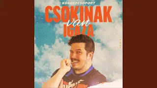 Csokinak Van Igaza