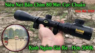 Kính Ngắm PCP Giá Rẻ / Kính Ngắm Bushnell 3-9x40 EG / Cho AE mới Chơi PCP - Túi Tiền Sinh Viên