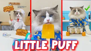 That Little Puff | COMEDY VIDEOS | March 2024