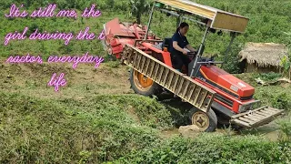 Raise beds to plant elephant grass to feed goats @QuangMinhToan