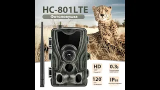 HC 801LTE Li