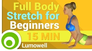 Full Body Stretch for Beginners