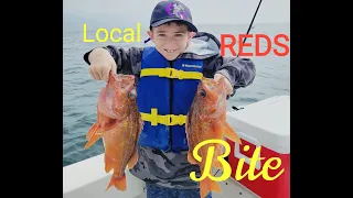 Local Coastal SoCal Rockfish - IKEJIME