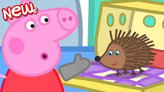 Los cuentos de Peppa la Cerdita 🐷 El erizo 🐷 NUEVOS episodios de Peppa Pig