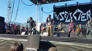 The Selecter - Too Much Pressure/Pressure Drop Medley live 2017