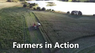 Cutting Maize at Rumworth Lodge Bolton - DJI Mini 2 recorded the video