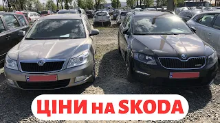 Огляд цін на Skoda / Автобазар Луцьк / 12 травня 2023 р.