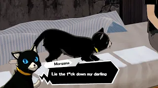 Persona 5 Strikers | Morgana still force you to go to bed