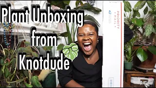 Plant Mail Unboxing From Knotdude ! | SO Surprised!