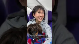 PASSENGER BRINGS A ‘DOG’ ON THE PLANE 🐶