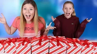 Don't Choose the Wrong Mystery Box Slime Challenge || Taylor and Vanessa