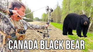 I Hunted Black Bears in Canada for the First Time!!