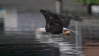 Fishing in late August