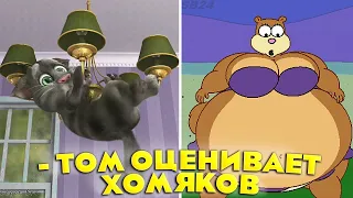 Том оценивает хомяков