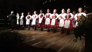 Festival internazionale del folklore e della cultura marinara