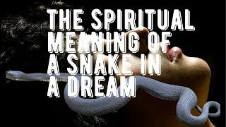 Spiritual Meaning Of Snake In Dreams.Biblical Meaning Of Dreams About Snakes Video