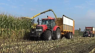 Loonbedrijf Zandman aan het mais hakselen & inkuilen bij melkveebedrijf Liezen (2017) - deel 1