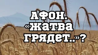 АФОН.«ЖАТВА ГРЯДЕТ..»!??