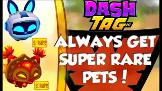 Tricks and Cheats to get SUPER RARE PETS in Dash Tag ll Dash Tag AJ