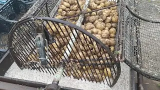 Мойка  картофеля
