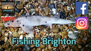 Sea Fishing UK | Brighton, East Sussex | Aram's Solo Session Catching Fish
