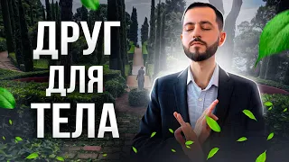 ТЫ ДРУГ СВОЕМУ ТЕЛУ?