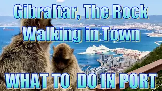 Walking in Gibraltar - What to do on Your Day in Port