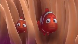 Finding Nemo - First Day Of School