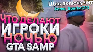 ЧТО ДЕЛАЮТ ИГРОКИ НОЧЬЮ КОГДА АДМИНЫ СПЯТ В GTA SAMP