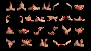 SAMYUTA HASTAS (double hand gestures) with Shloka| Classical dance.