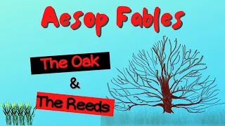 Aesop Fables - The Oak & The Reeds