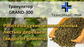 Гранулятор GRAND-300 работа на измельченных листьях (видео от клиента)