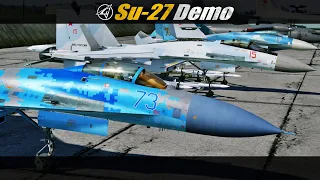 Most Realistic Su-27 Demo in DCS | Airshow
