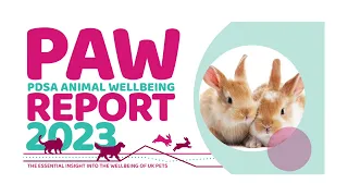 2023 PDSA Animal Wellbeing (PAW) Report | Key Findings About Rabbits