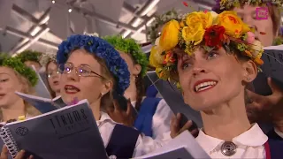 ''Sidraba birzs''. Tīrums. Dziesmu svētki 2023 / Latvian Song and Dance Celebration 2023