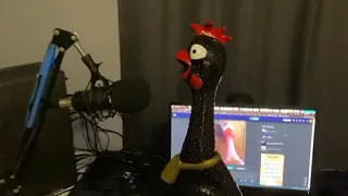 Really loud rubber chicken.