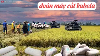 Tổng Hợp Máy Cắt KUBOTA Dc 93 Vs Dc 70 Thu Hoạch Lúa Ở Miền Tây | Rice Harvest In Vietnam