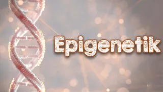Epigenetik - Einfluss auf dein erbliches Schicksal