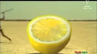 Смешная реклама лимонада в жарких странах