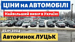 ЩО НОВОГО на ЛУЦЬКОМУ АВТОРИНКУ /// 25.01.2024 р. #автобазар  #автопідбір #авторинок #колорит