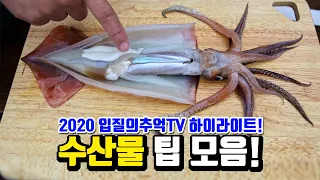 재미있고 유용한 수산물 팁만 모았습니다.(2020년 입질의추억TV 하이라이트)