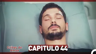 Gritos de Amor Capitulo 44 (Doblaje En Español)