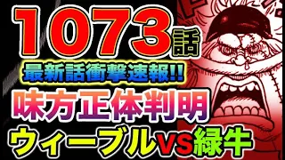 【ワンピース 1073最新話衝撃速報】「ミス・バッキンガム・ステューシー」ベガパンクの謎開発！味方の正体判明！イケメンが来た！（予想考察）