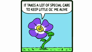 The Perfect Plant - Webcomic Dub (Original Comic by Mr Levenstein)