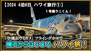 [2024 Hawaii Trip ① Narita (NRT) - Honolulu (HNL) A380 Premium Economy Boarding Report