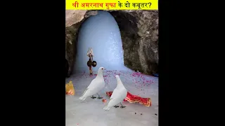 क्या आज भी जिन्दा है अमरनाथ के कबूतर? 😲 Amarnath Dove #D2 Facts #shorts #dove